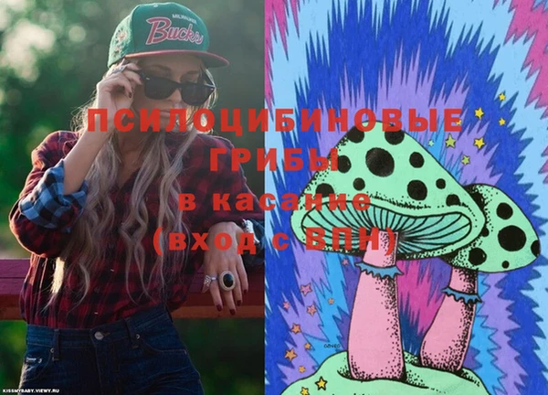 гидра Алзамай