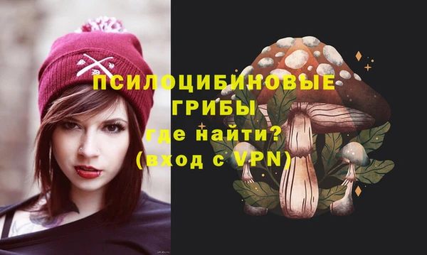 гидра Алексеевка